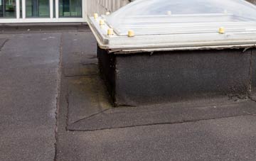 disadvantages of Blagdon Hill flat roofs