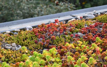 the cost of Blagdon Hill green roof installation