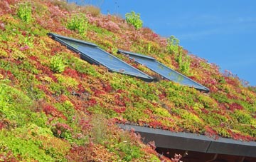 Blagdon Hill living roof systems